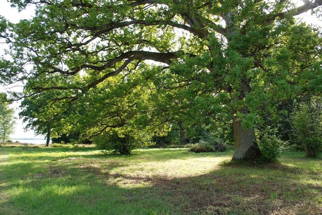 Kristbergs Rusthall Borensberg Luaran gambar