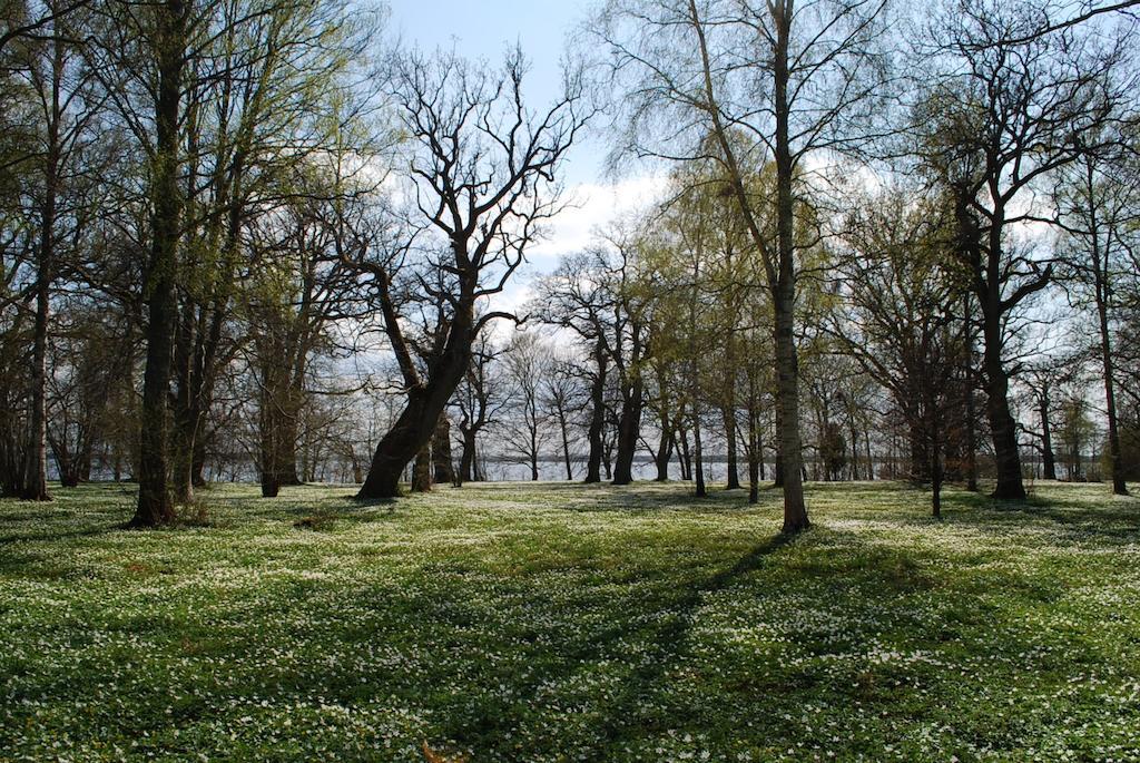 Kristbergs Rusthall Borensberg Luaran gambar